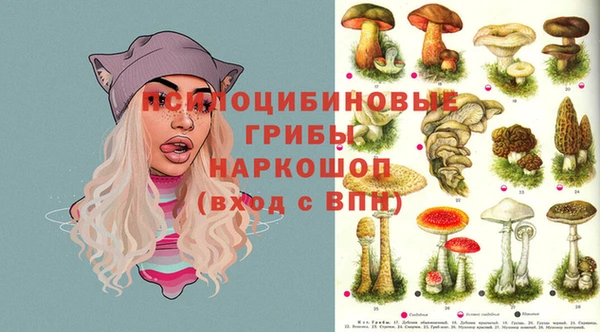 дурь Алексин