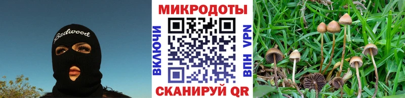 omg ССЫЛКА Менделеевск Галлюциногенные грибы Psilocybine cubensis наркошоп